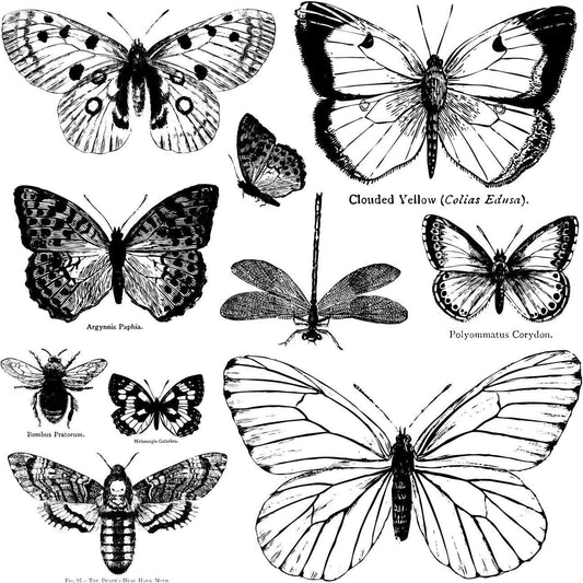 The Owl Box Butterflies 12Ă—12 Decor Stamp