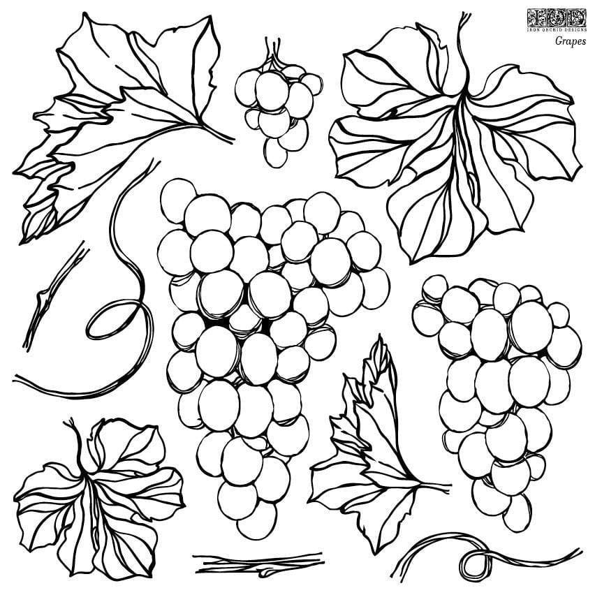 The Owl Box Grapes 12x12 Decor Stamp