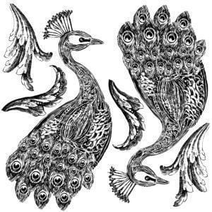 The Owl Box Pavo 12Ă—12 Decor Stamp (2 Stamp Set)
