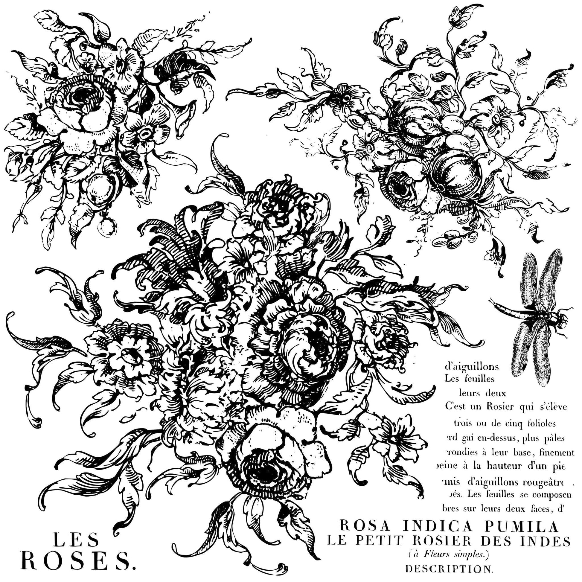 The Owl Box Rose Toile 12x12 Decor Stamp
