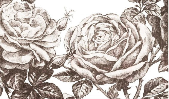 IOD May's Roses Decor Transfer by Iron Orchid Designs
