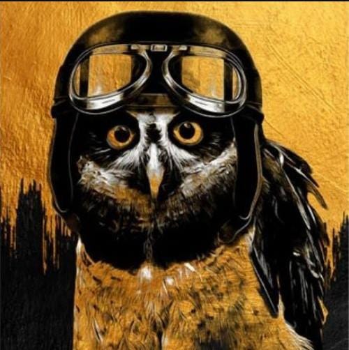 The Owl Box A3 Owl Helmet Decoupage Paper