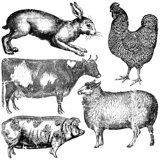 The Owl Box Art & Craft Kits Farm Animals 12Ă—12 Decor Stamp
