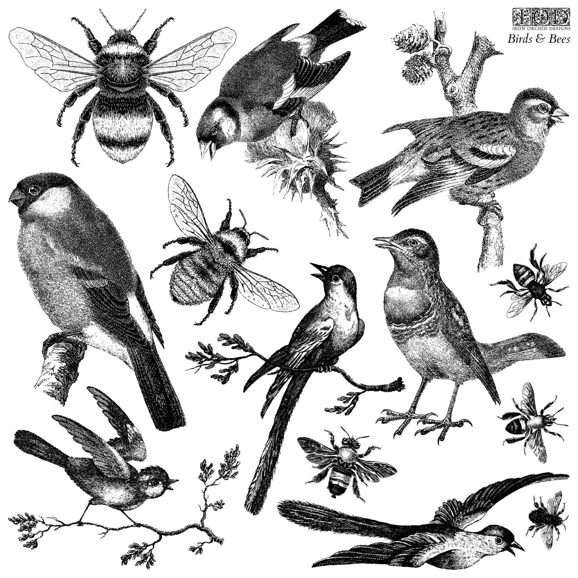 The Owl Box Birds & Bees 12x12 Decor Stamp