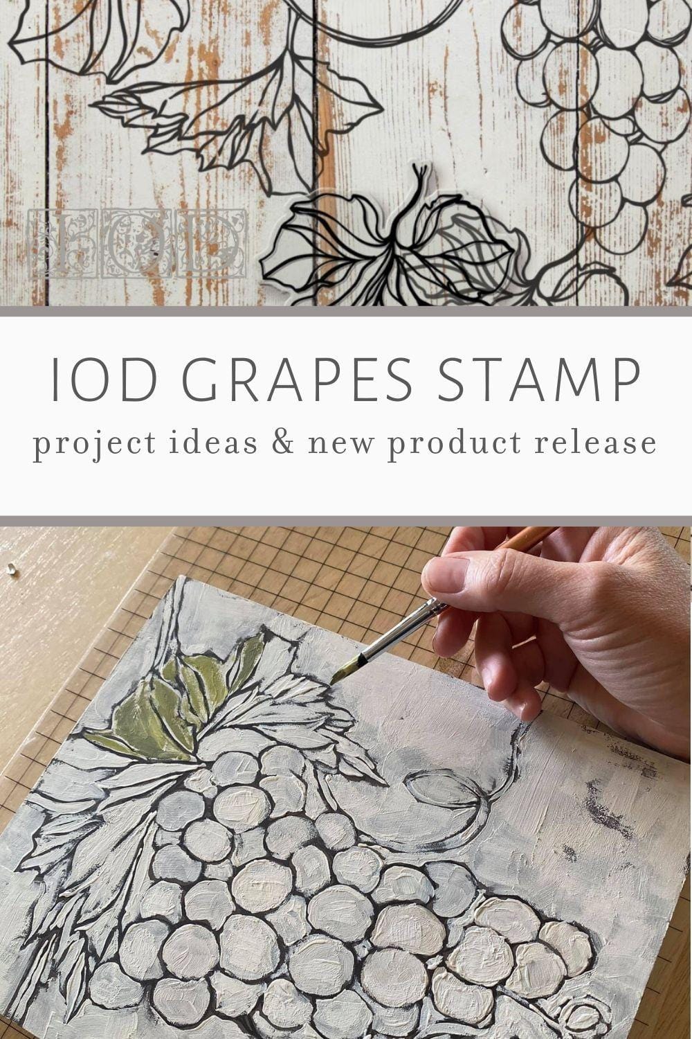 The Owl Box Grapes 12x12 Decor Stamp