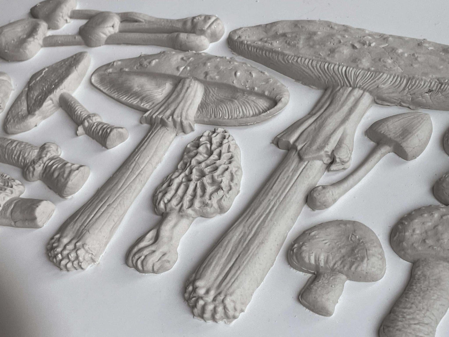 The Owl Box TOADSTOOL 6×10 DECOR MOULDS